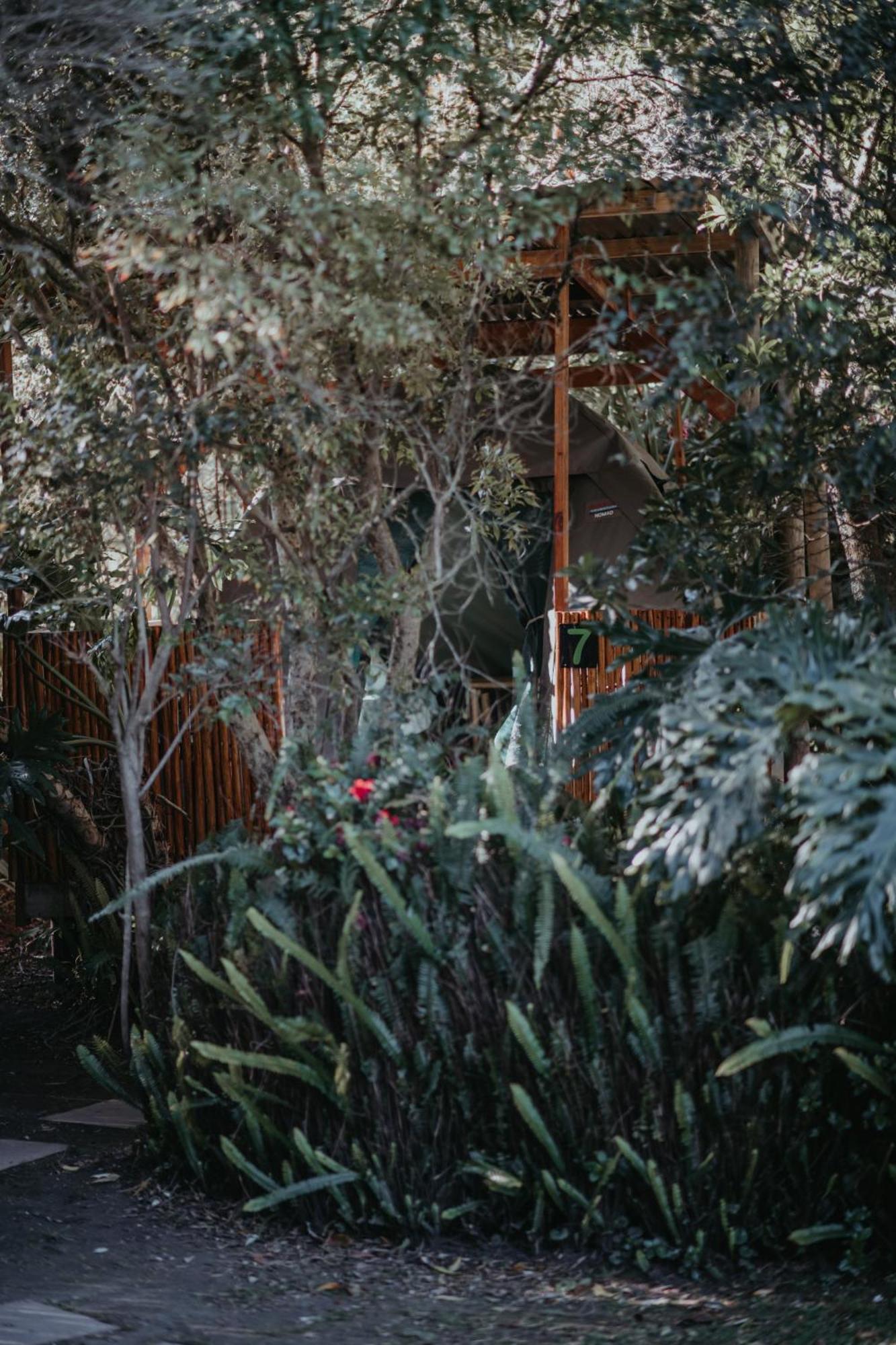 Storms River Forest Lodge Stormsrivier Exteriér fotografie