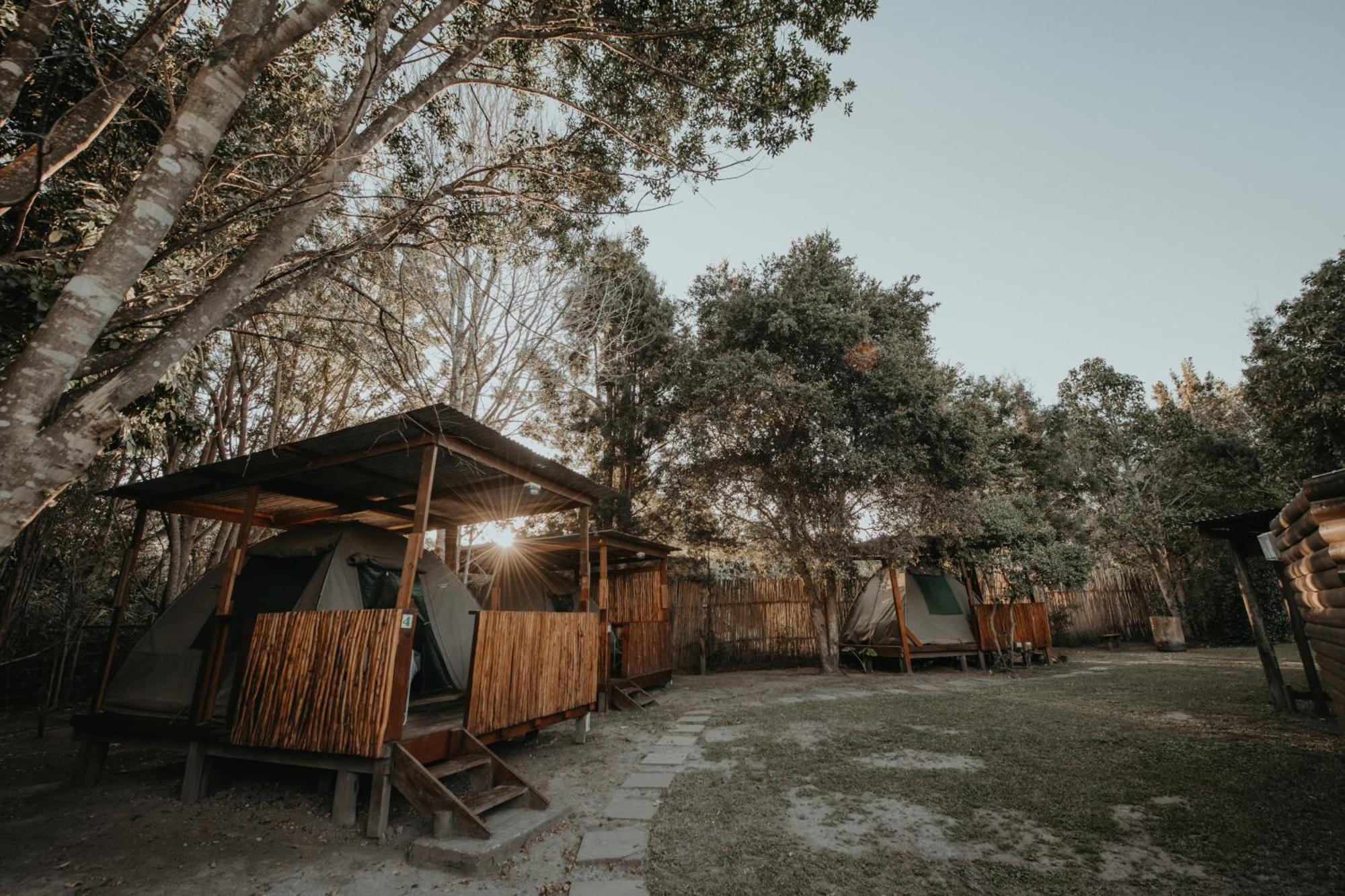 Storms River Forest Lodge Stormsrivier Exteriér fotografie